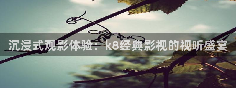 yy影院免费观看高清电视剧