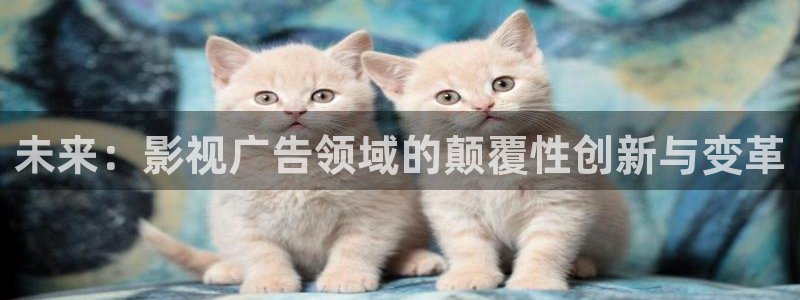 yy影院在线观看免费播放电视剧大全网
