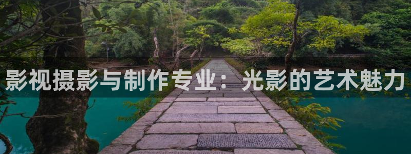 yy影院在线观看免费高清