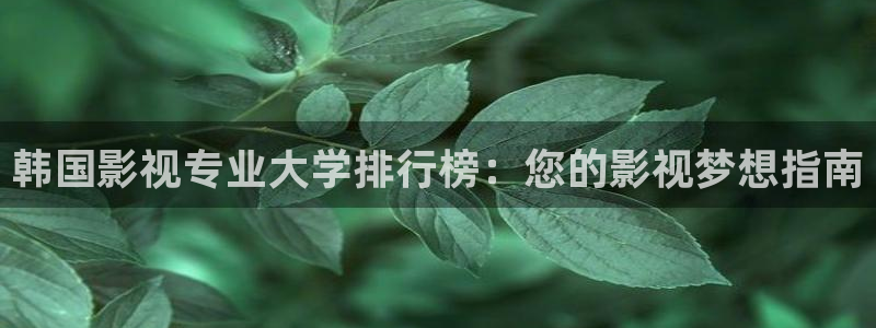 神马yy影院