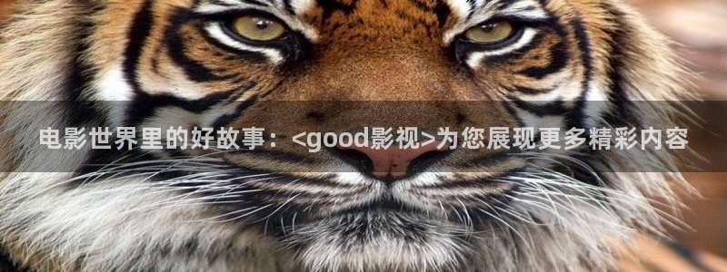 yy影院免费观看电视剧
